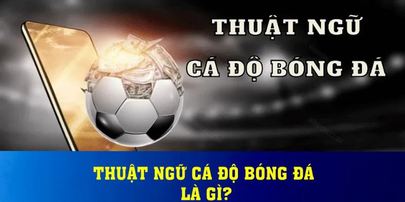 Tổng hợp các thuật ngữ cá độ bóng đá tại KO66