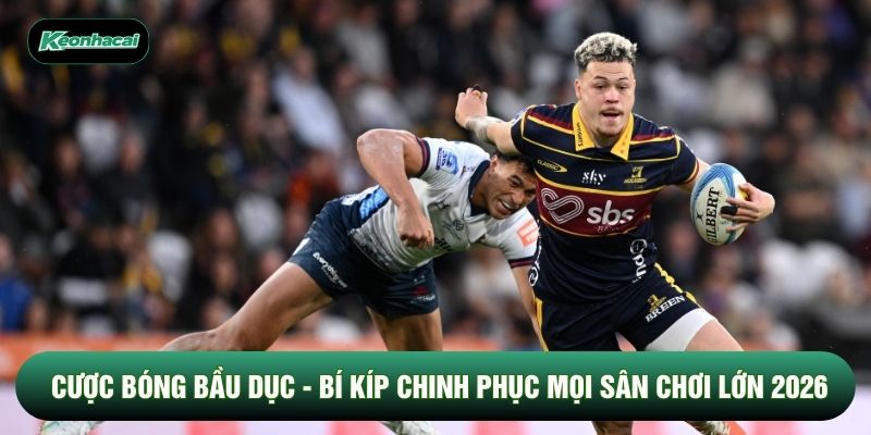 Cược Bóng Bầu Dục - Bí Kíp Chinh Phục Mọi Sân Chơi Lớn 2026