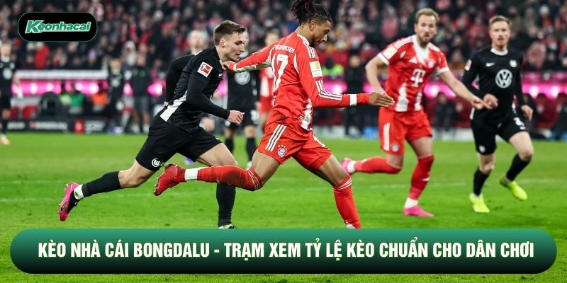 Kèo Nhà Cái Bongdalu - Trạm Xem Tỷ Lệ Kèo Chuẩn Cho Dân Chơi